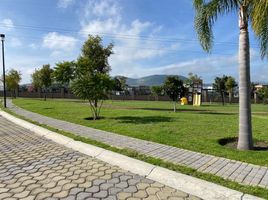  Land for sale in San Andres Cholula, Puebla, San Andres Cholula