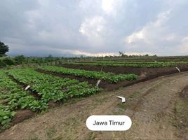  Tanah for sale in Junrejo, Malang Regency, Junrejo