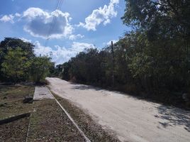  Grundstück zu verkaufen in Conkal, Yucatan, Conkal