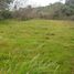  Land for sale in Selemadeg, Tabanan, Selemadeg