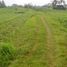  Land for sale in Selemadeg, Tabanan, Selemadeg