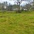  Land for sale in Selemadeg, Tabanan, Selemadeg