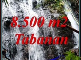  Land for sale in Selemadeg, Tabanan, Selemadeg