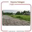  Land for sale in Mlati, Sleman, Mlati