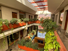 52 m² Office for rent in Queretaro, Queretaro, Queretaro