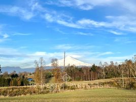  Land for sale in Chile, Villarrica, Cautin, Araucania, Chile