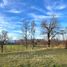  Land for sale in Chile, Villarrica, Cautin, Araucania, Chile