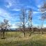 Land for sale in Chile, Villarrica, Cautin, Araucania, Chile