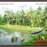  Land for sale in Tampak Siring, Gianyar, Tampak Siring