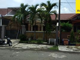 1 Kamar Rumah for rent in Sidoarjo, East Jawa, Sidoarjo, Sidoarjo