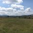  Land for sale in San Andres Cholula, Puebla, San Andres Cholula