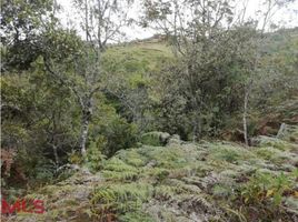  Land for sale in Rionegro, Antioquia, Rionegro