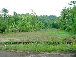  Tanah for sale in Imogiri, Bantul, Imogiri