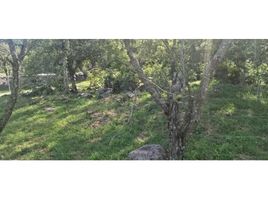  Land for sale in Alto Boquete, Boquete, Alto Boquete