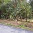  Land for sale in Alto Boquete, Boquete, Alto Boquete