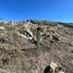  Terreno (Parcela) en venta en Zempoala, Hidalgo, Zempoala
