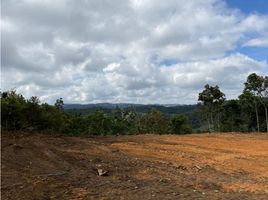  Terreno (Parcela) en venta en San Vicente, Antioquia, San Vicente