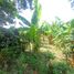 3 Schlafzimmer Appartement zu verkaufen in Cordoba, Quindio, Cordoba