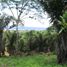  Terreno (Parcela) en venta en Manglaralto, Santa Elena, Manglaralto