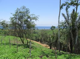  Terreno (Parcela) en venta en Manglaralto, Santa Elena, Manglaralto