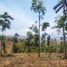  Land for sale in Garut, West Jawa, Karangpawitan, Garut