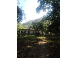  Land for sale in Magdalena, Santa Marta, Magdalena