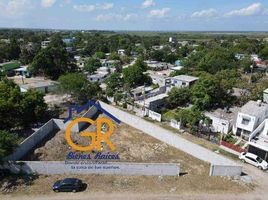  Terreno (Parcela) en alquiler en Altamira, Tamaulipas, Altamira, Tamaulipas