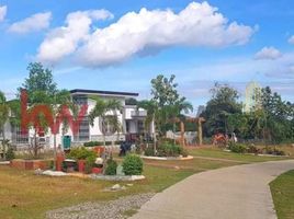  Land for sale in Mayantoc, Tarlac, Mayantoc