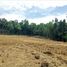  Land for sale in Sedayu, Bantul, Sedayu