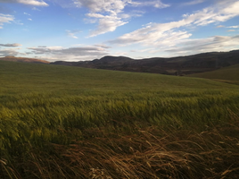  Land for sale in Santiago, Cusco, Santiago