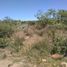  Terrain for sale in Colon, Queretaro, Colon