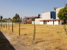  Land for rent in Leon, Guanajuato, Leon, Guanajuato