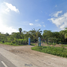  Terreno (Parcela) en venta en Motul, Yucatán, Motul