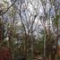  Land for sale in Motul, Yucatan, Motul