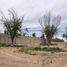 Terrain à vendre à Torreon, Coahuila, Torreon