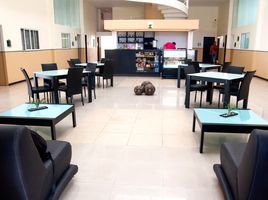 200 m² Office for rent in Queretaro, Queretaro, Queretaro