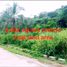  Land for sale in Palawan Mimaropa, Coron