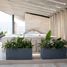 2 Habitación Apartamento en alquiler en Zapopan, Jalisco, Zapopan