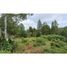  Villa for sale in Fresia, Los Lagos, Fresia