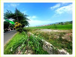  Land for sale in Prambanan, Klaten, Prambanan