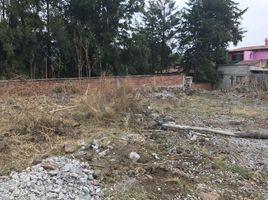  Grundstück zu verkaufen in Joquicingo, Mexico, Joquicingo