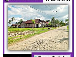  Land for sale in Banyuwangi, East Jawa, Gambiran, Banyuwangi