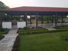  Grundstück zu verkaufen in Colima, Colima, Colima, Colima