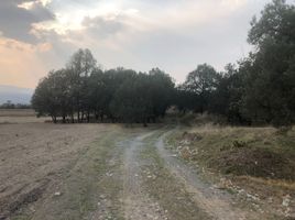  Grundstück zu verkaufen in Nanacamilpa De Mariano Arista, Tlaxcala, Nanacamilpa De Mariano Arista, Tlaxcala