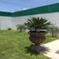 3 chambre Appartement for sale in Morelos, Cuautla, Morelos