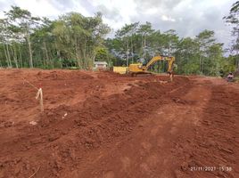  Tanah for sale in Pekalongan, Jawa Tengah, Tirto, Pekalongan