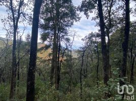  Grundstück zu verkaufen in Pachuca De Soto, Hidalgo, Pachuca De Soto, Hidalgo