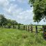  Land for sale in San Vicente Tancuayalab, San Luis Potosi, San Vicente Tancuayalab