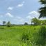  Land for sale in San Vicente Tancuayalab, San Luis Potosi, San Vicente Tancuayalab
