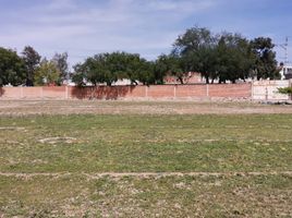  Grundstück zu verkaufen in San Luis Potosi, San Luis Potosi, San Luis Potosi, San Luis Potosi